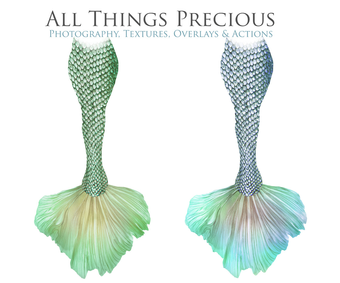 Png transparent Mermaid Tail fin overlays in colourful tints. By ATP Textures Ocean undersea digital backgrounds.